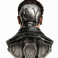 Terminator 2 Replik 1/1 T-800 Model 101 Battle Damaged Art Mask