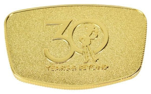 Disney Pixar Toy Story Buzz Lightyear Robot (30th Anniversary Limited Edition) 37 cm